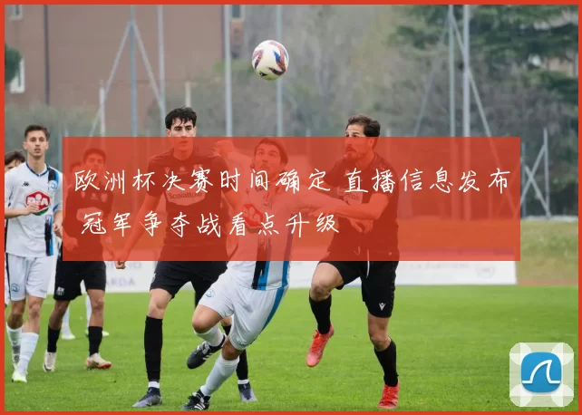 欧洲杯决赛时间确定 直播信息发布 冠军争夺战看点升级